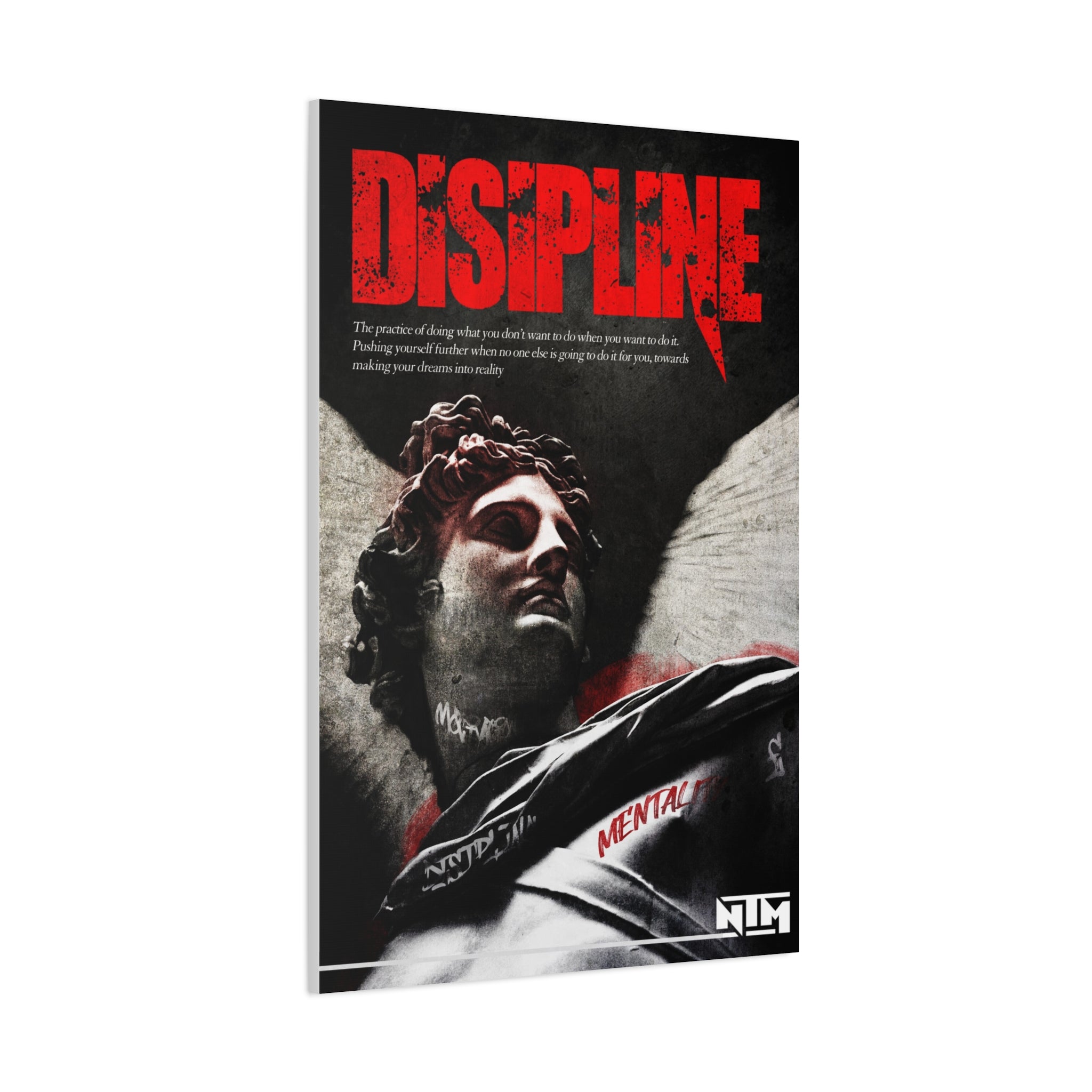 'DISCIPLINE & CONQUER' CANVAS - NTM Apparel