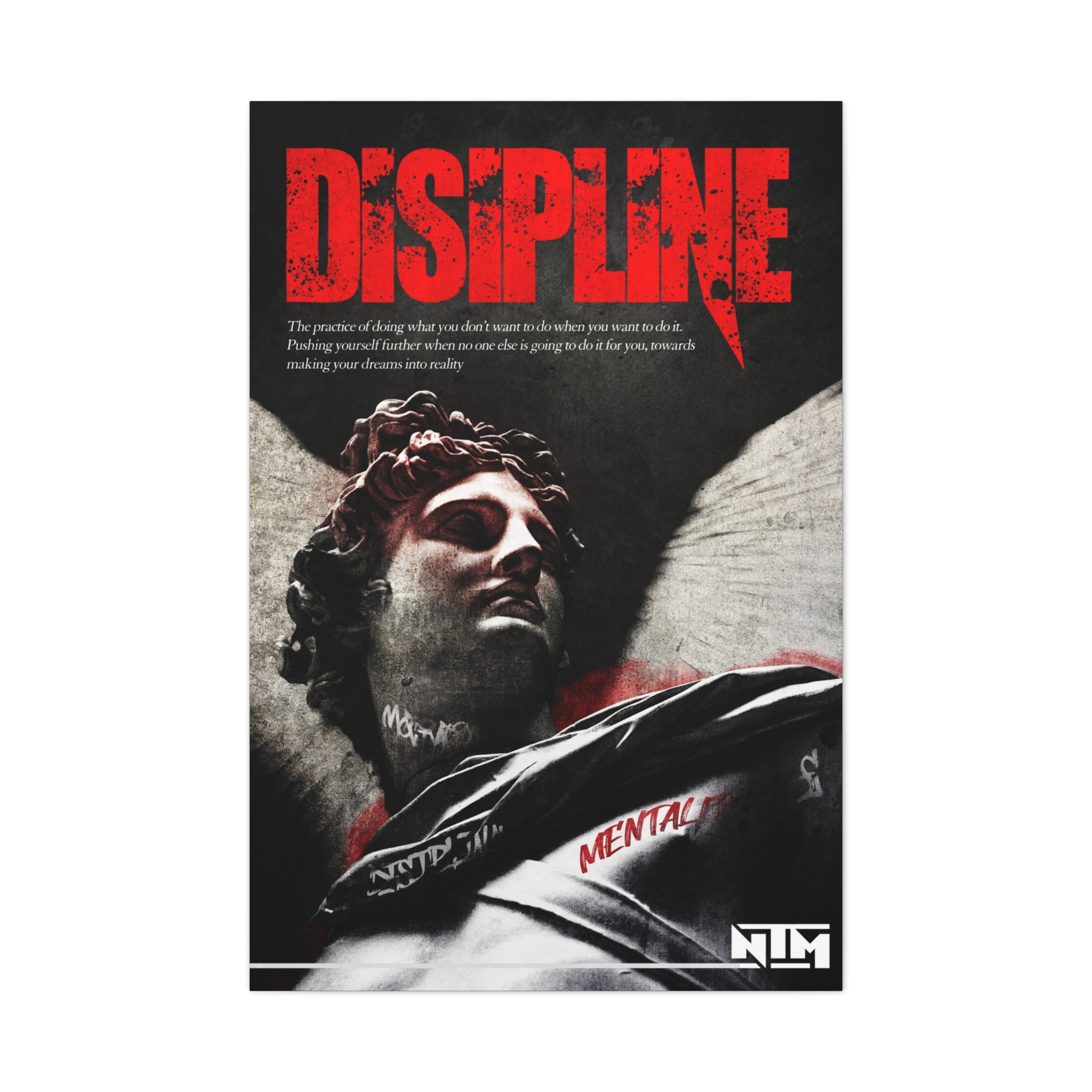 'DISCIPLINE & CONQUER' CANVAS - NTM Apparel